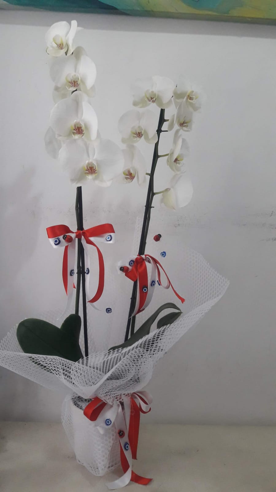  ,beyaz-ciftli-orkide