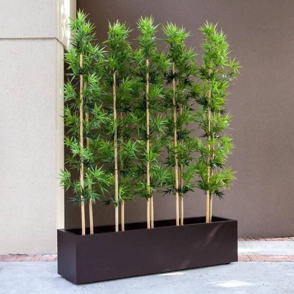 grup-bambu-dekor-bitki