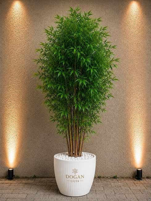 yapay-bambu-agaci-220-cm