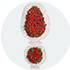 �elenk